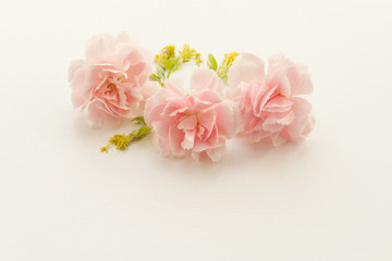 Mother's day greeting card. Pink carnations with green leaves and yellow flowers on a white background. A Gift to Mom.