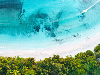 Luftaufnahme Seychellen Strand