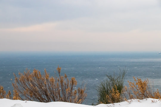 Winter Landscape
