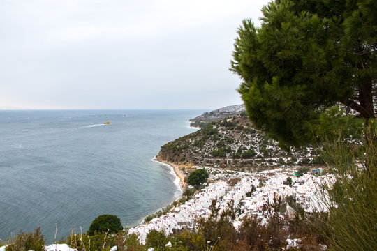 Winter Landscape