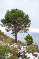 Cappadocia - Volcanik Tuff