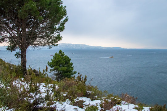 Winter Landscape