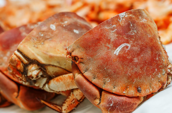 half of fresh crab on ice for sale in a fish market