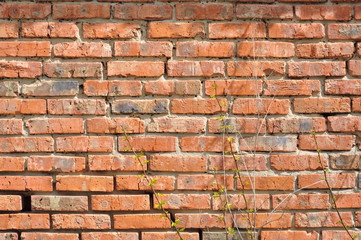 Wall of red brick