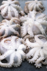 Seafood. Background with fresh octopuses