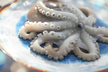 Fresh octopus on turquoise textural dish, detail