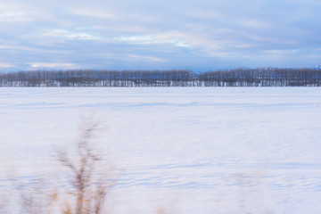 Motion blur view of snow field and tree line
