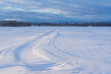 Fototapeta na wymiar Curve on snow field in morning light with tree line
