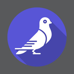 Dove, carrier pigeon flat icon. Round colorful button, circular vector sign with long shadow effect. Flat style design