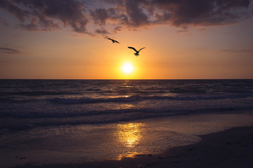 Fototapeta na wymiar Florida sunset