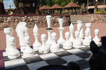 Party in chess on a summer day