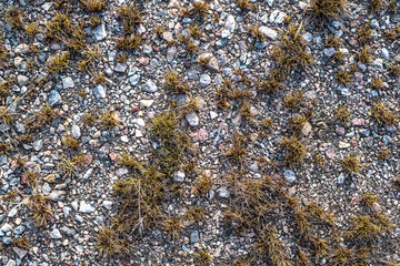 texture of stone