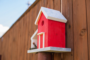 a birds house