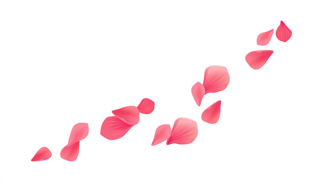 Pink Red flying petals isolated on white background. Sakura Roses petals. Vector 
