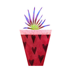 Cartoon watercolor cactus in a pot illustration isolated on white background.Abstract Succulent image.Can be used for your project,greeting cards,wedding,Birthday cards,wreaths,artwork for textiles.