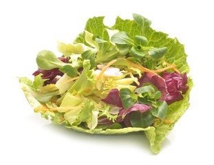 Salad mix with rucola, frisee, radicchio and lamb's lettuce. Isolated on white background.
