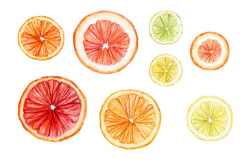 Watercolor set of slices of citrus fruits: orange, lemon, lime, grapefruit. Isolated on white - 145969118