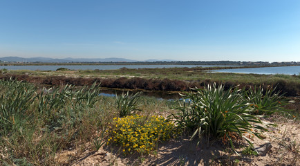 Salin des pesquiers 