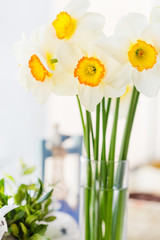 Bouquet of white daffodils