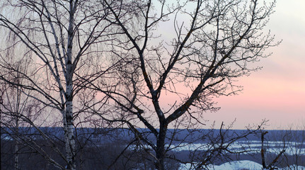 Obraz premium Pink sunset in winter