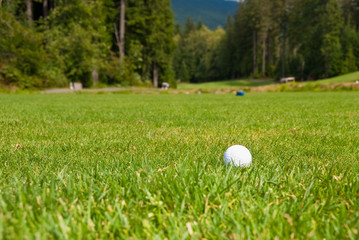 Golf ball on green. Shallow depth of field. Focus on the ball.