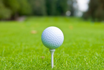 Golf ball on tee over a blurred green. Shallow depth of field. Focus on the ball.