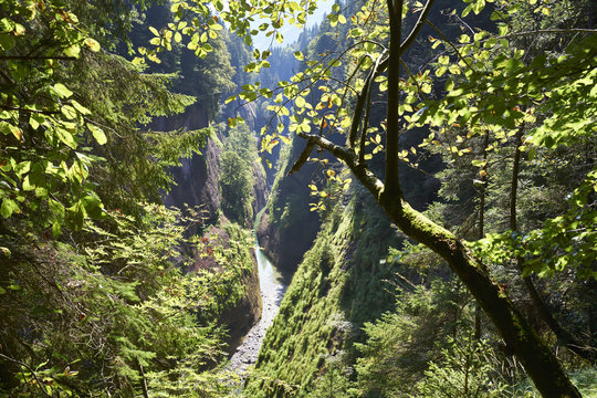 Das "R&auml;bloch" im Emmental - wo sich die Emme durch eine enge Schlucht zw&auml;ngen muss