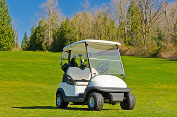 Golf cart over nice green and blue sky © karamysh