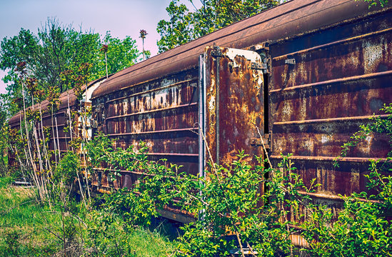 Old refrigerated railway wagon captured by vegetation.