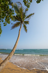 Paradise beach of Sri Lanka.