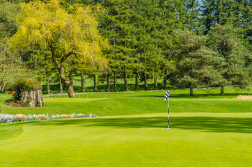 Obraz premium Golf course with gorgeous green.