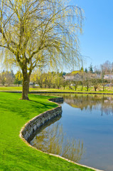 Golf place with gorgeous green and pond.