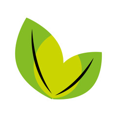 Obraz premium leaf plant isolated icon vector illustration design