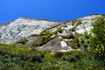 The view on the rock