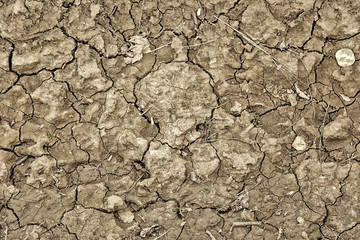 Dry and broken field