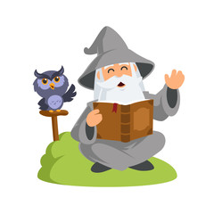 Friendly wizard, he is reading a book