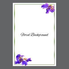 background texture made of iris and place for text