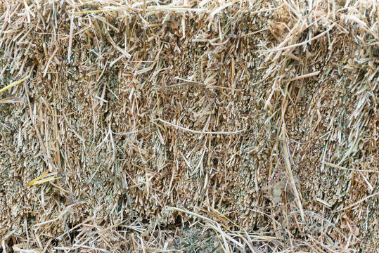 A haystack close-up is the harvesting of fodder for the winter for large livestock.