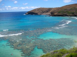 Fototapeta na wymiar Haunama Bay Hawaii 4