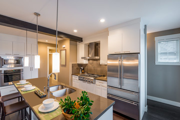 Modern, bright, clean, kitchen interior with stainless steel appliances in a luxury house