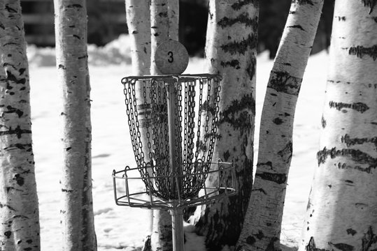basket for frisbeegolf in the park, winter