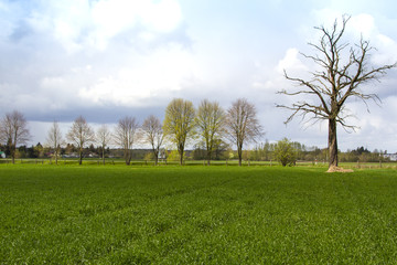 typical agricultural landscapes