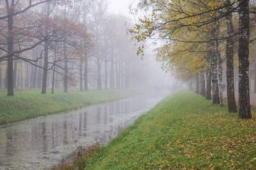  Fog over canal in Alexander Park in Pushkin City, suburb of St.Petersburg, Russia.