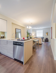 Modern kitchen in luxury house.