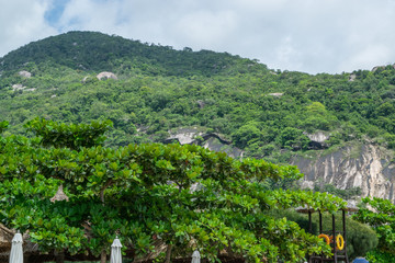 Mountain covered by jungle, Vietnam, South-East Asia