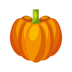 pumpkin fresh vegetable icon vector illustration design