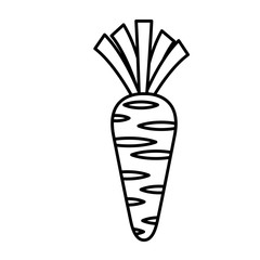carrot fresh vegetable icon vector illustration design
