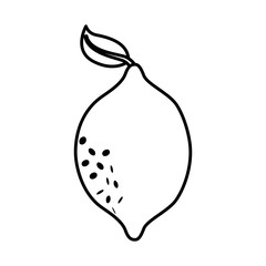 lemon fresh fruit icon vector illustration design