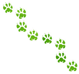 Green animal footprint