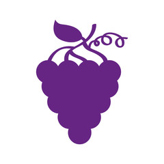 grapes fresh fruit icon vector illustration design